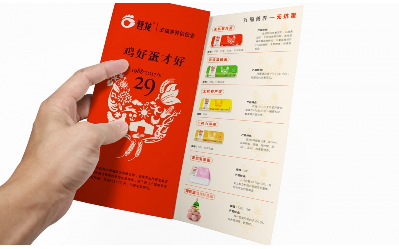 需要做畫冊設(shè)計，這些你都了解嗎