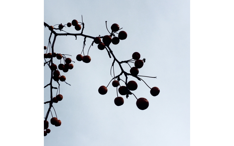 成熟設(shè)計(jì)是多年內(nèi)功修煉的展現(xiàn)