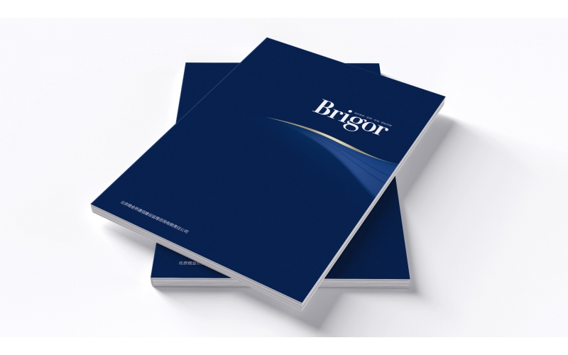 畫冊封面設(shè)計應(yīng)融合品牌內(nèi)涵